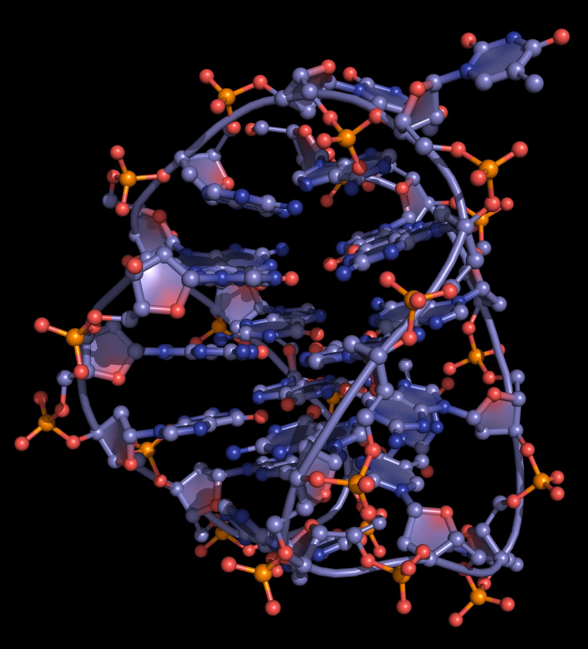 Three-dimensional structure of a G-quadruplex