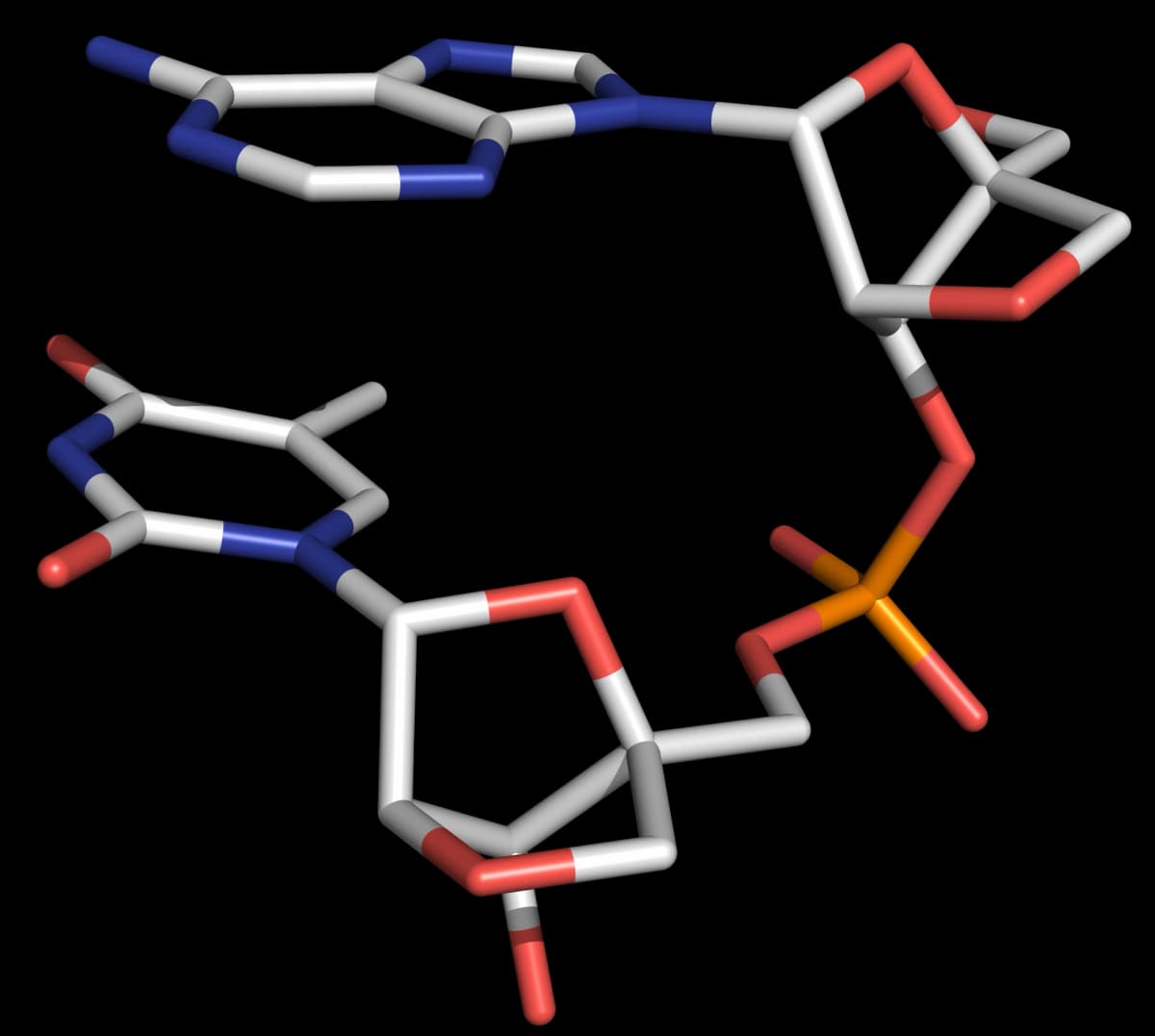 Three-dimensional structure of an LNA oligonucleotide Two successive bases are shown, each attached to a locked bicyclic C3'-endo sugar, with a phosphate group connecting the sugars.