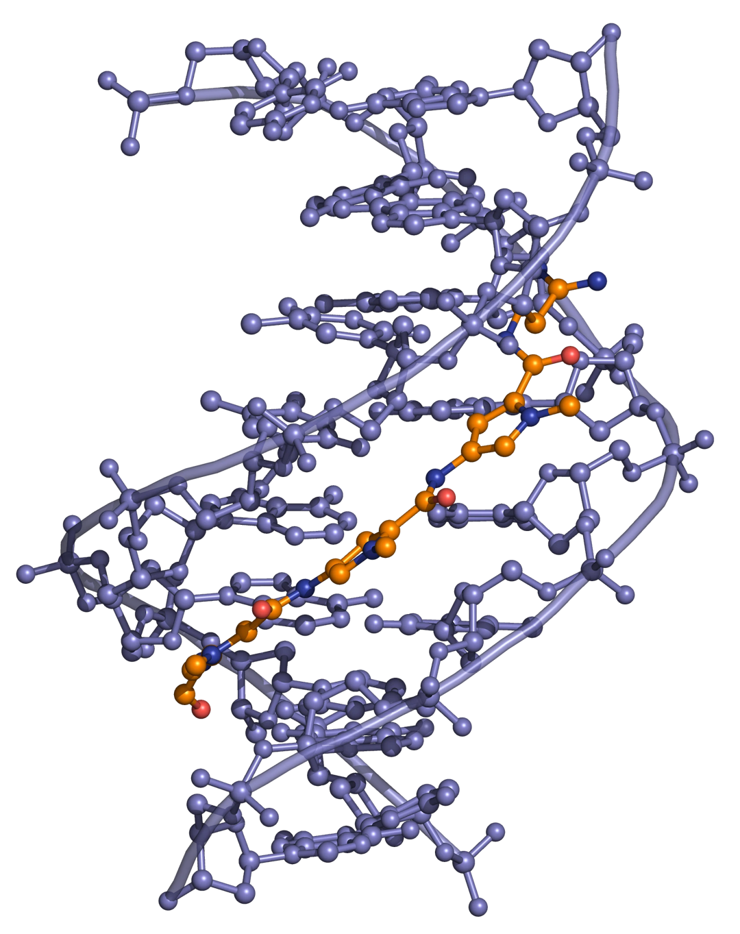 Distamycin DNA binding