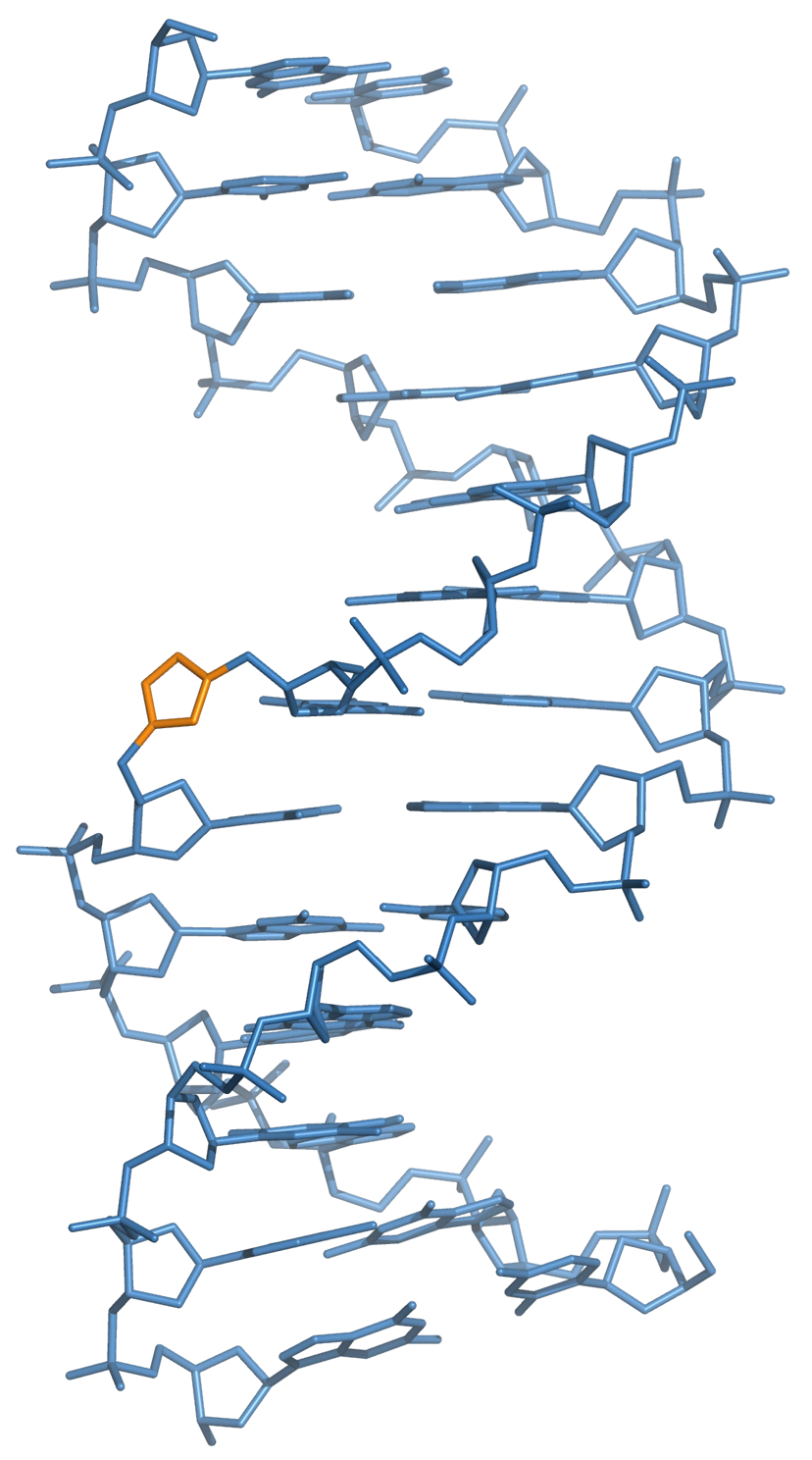Three-dimensional structure of a triazole-linked DNA:DNA duplex