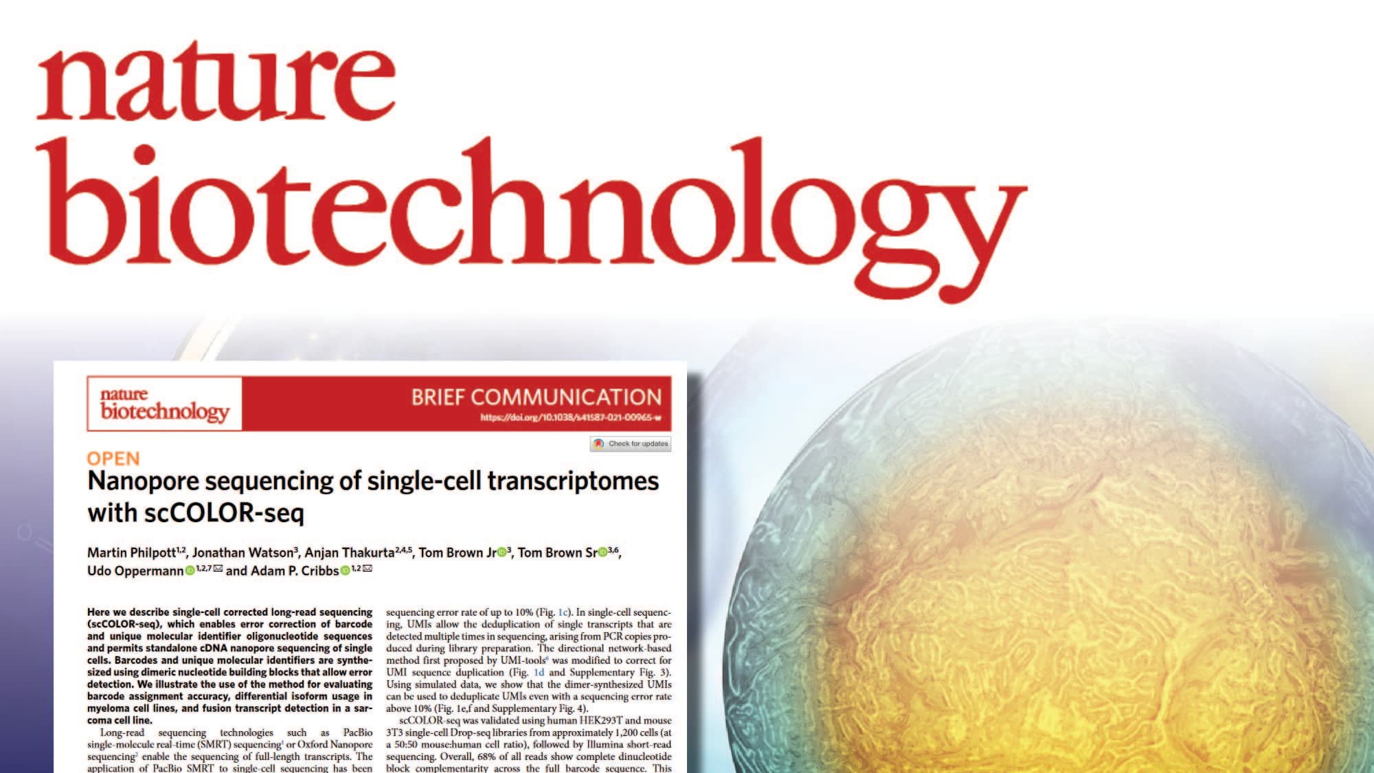 Nature Biotechnology paper: Nanopore sequencing of single-cell transcriptomes with scCOLOR-seq