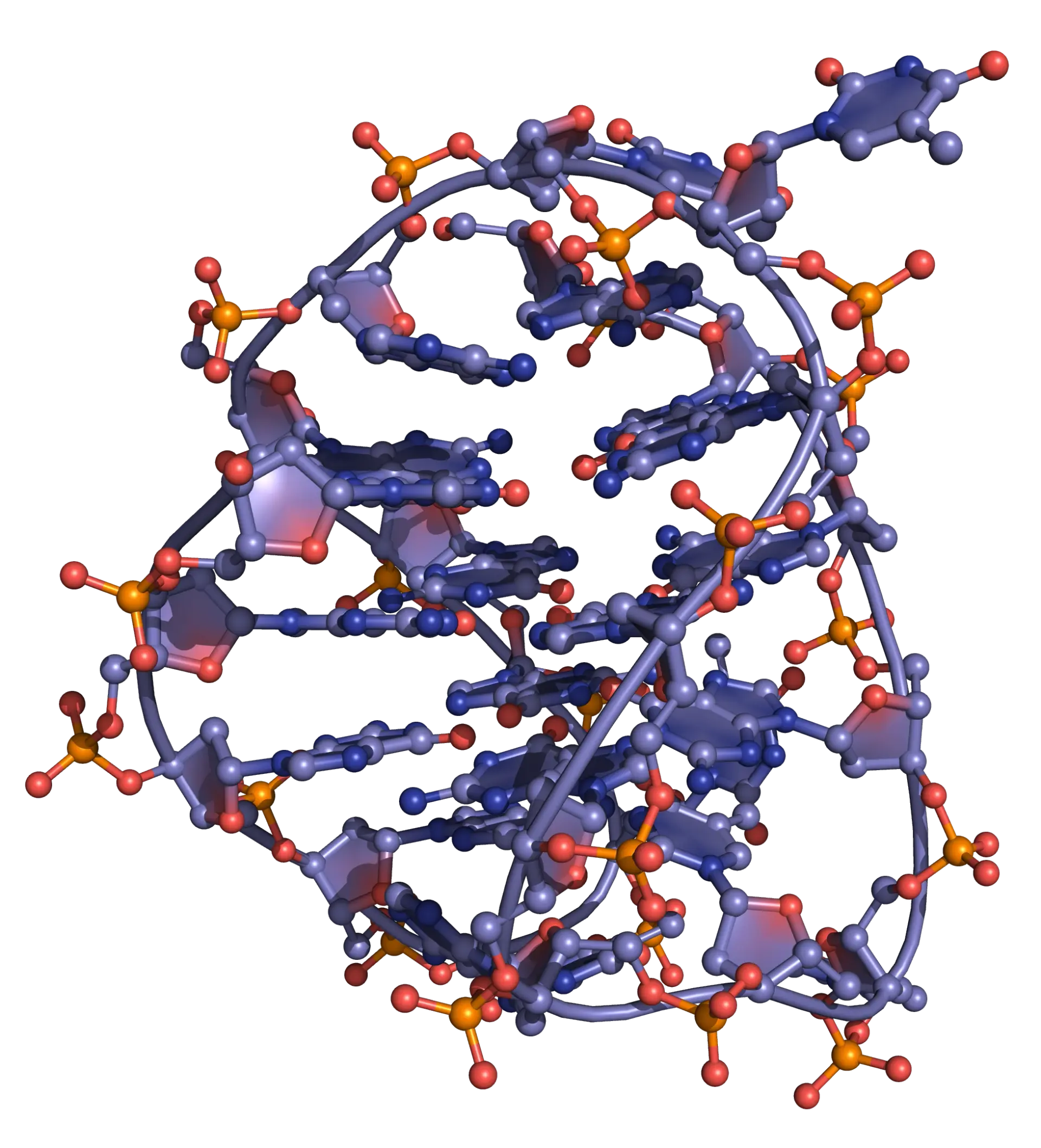 Three-dimensional structure of a G-quadruplex